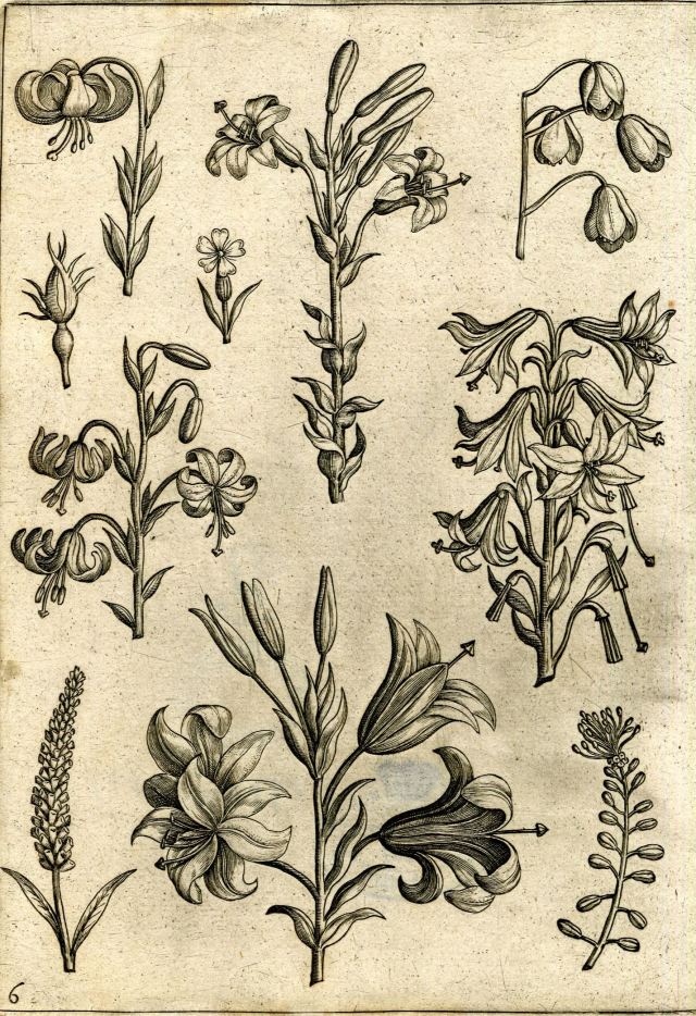 6a00d8341c464853ef01a3fcd34089970b