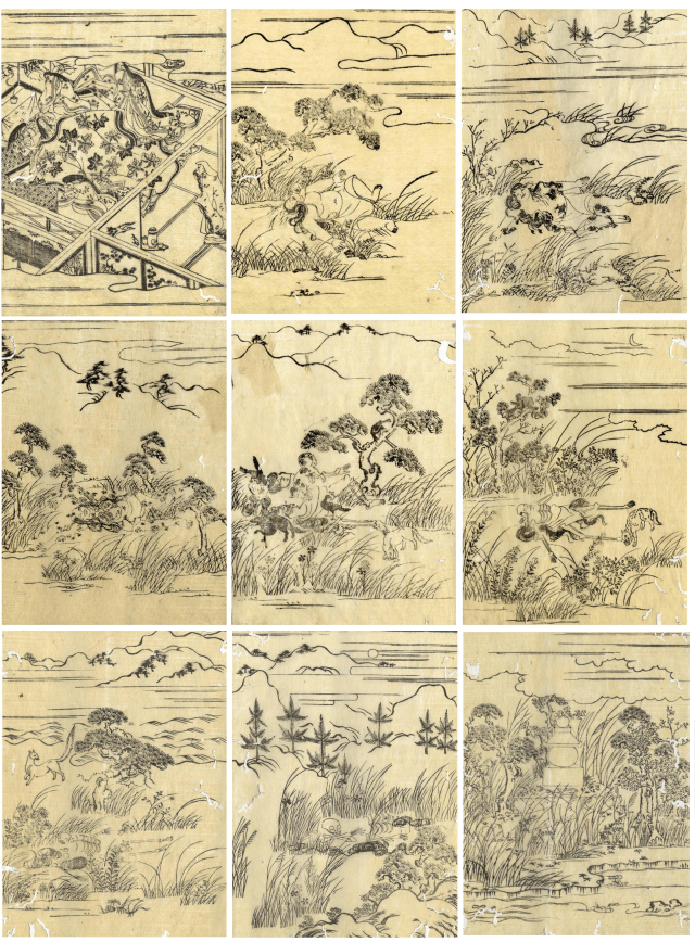 dissection 1 merged.png